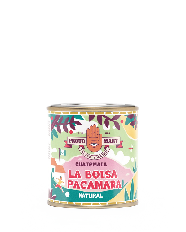 Guatemala La Bolsa Pacamara