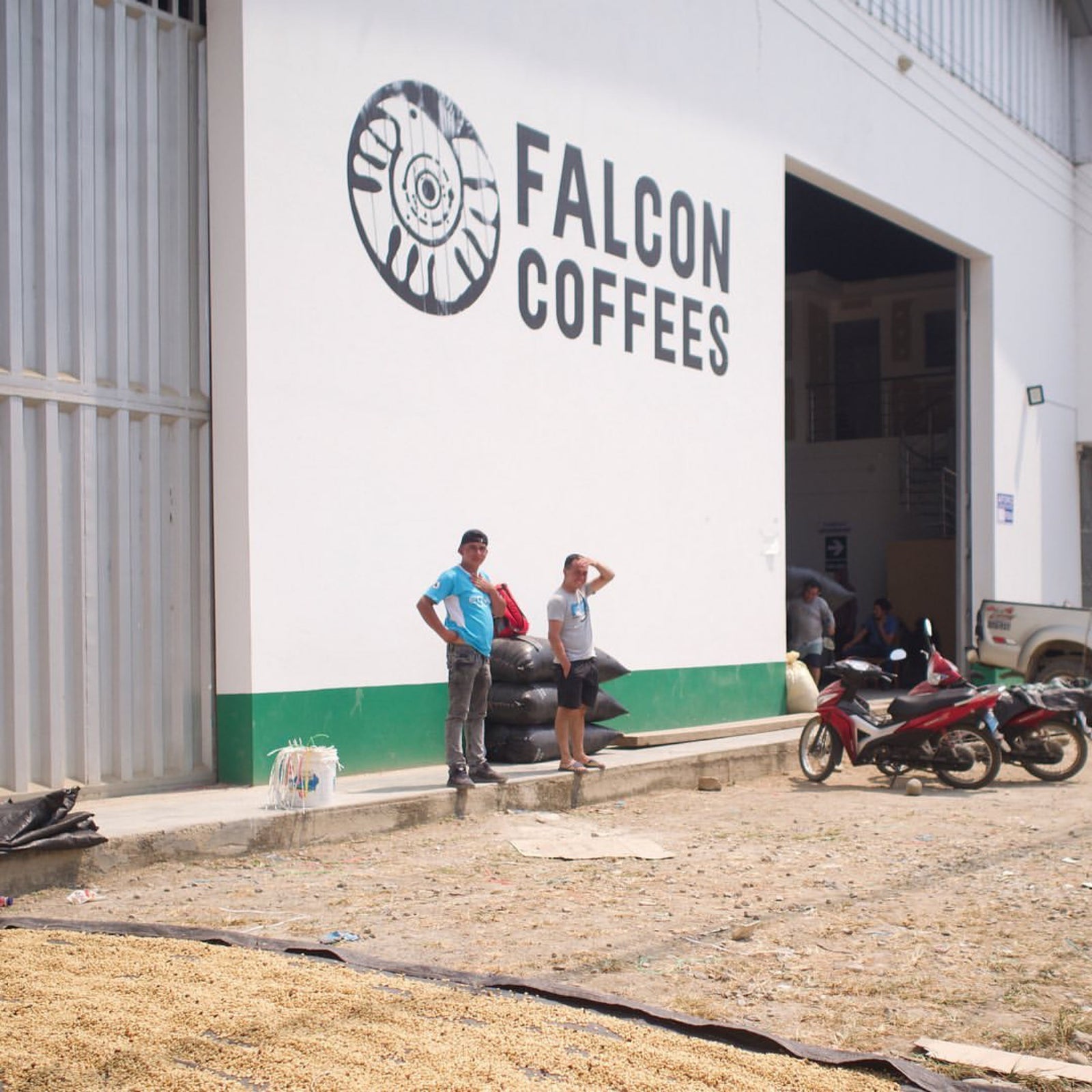 Falcon Coffees