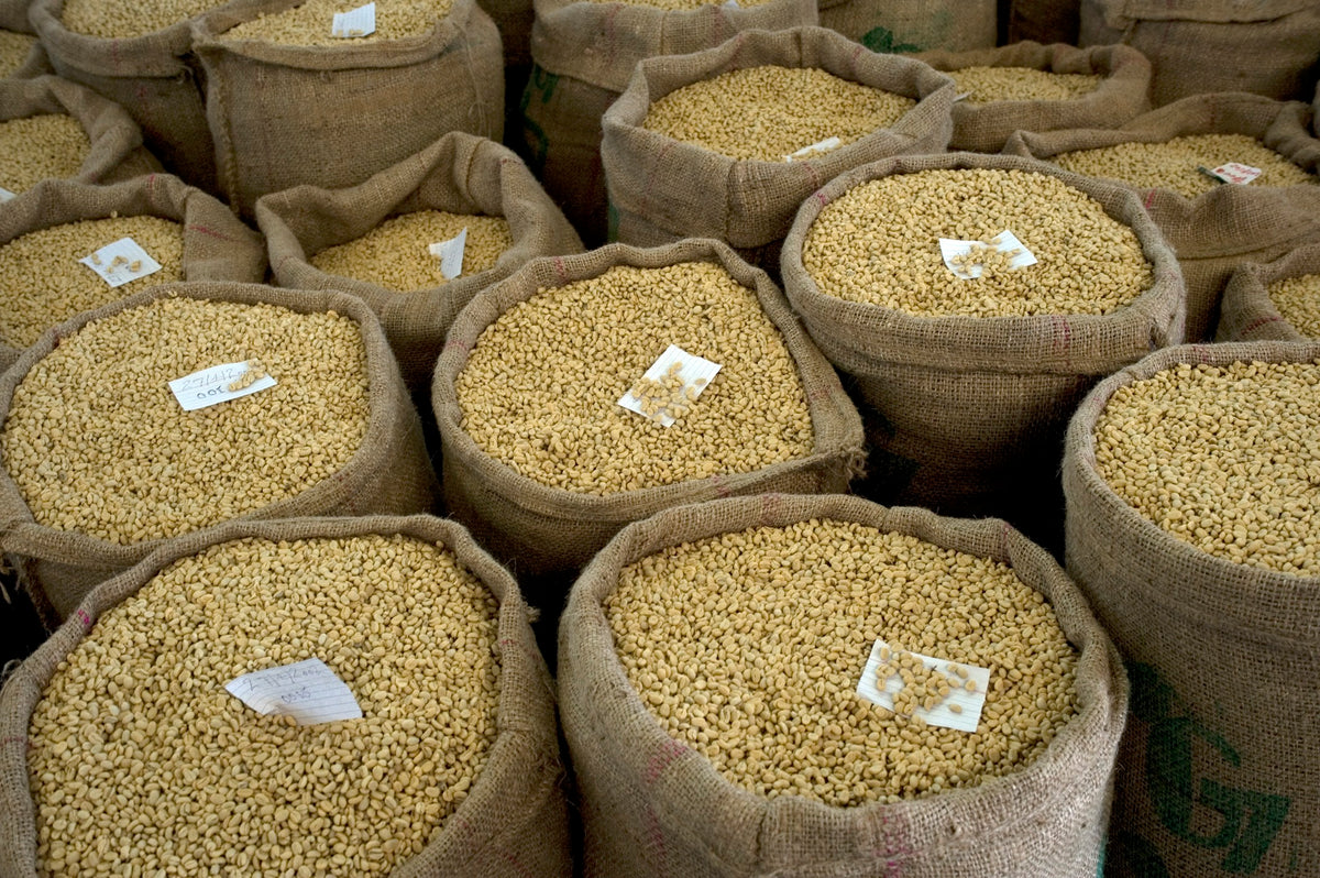 Ethiopia Djimmah Meti G1