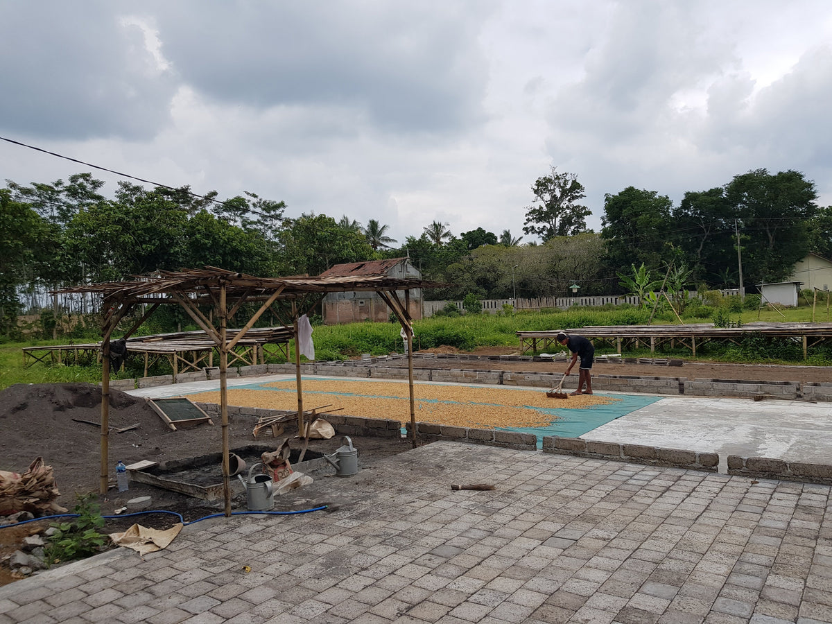 Indonesia Ijen Orange Microlot