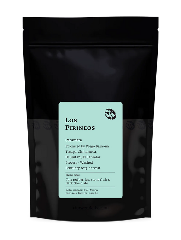 El Salvador Los Pirineos Pacamara 