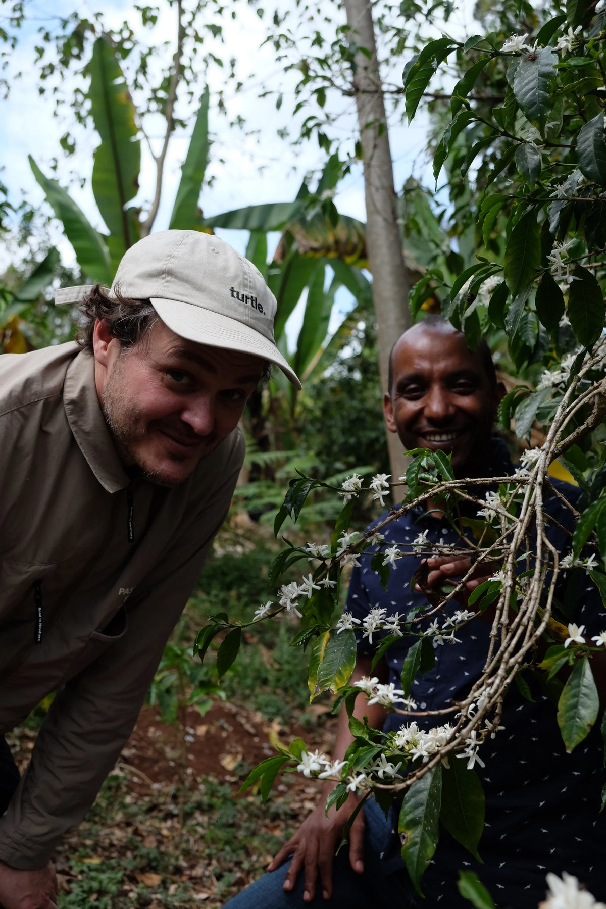 Ethiopia Aga Organic