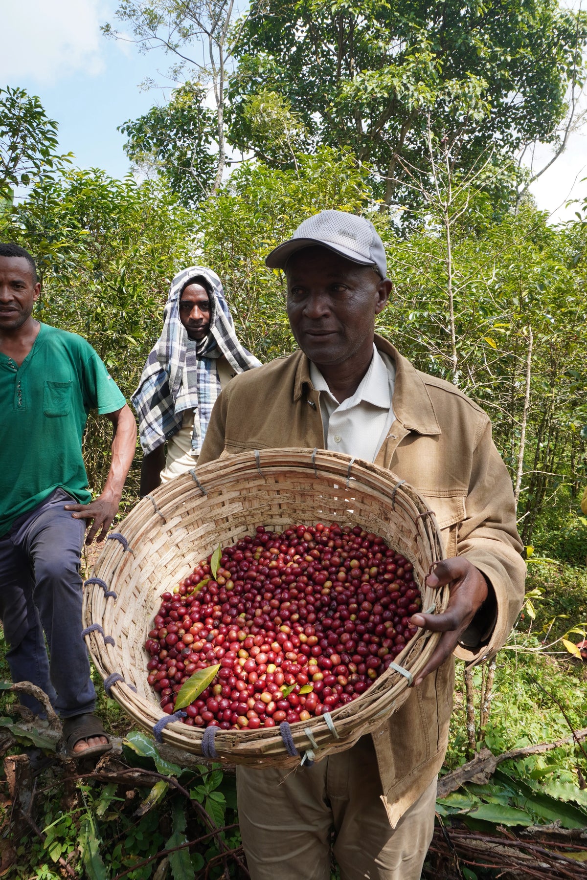 Ethiopia Bekele Natural
