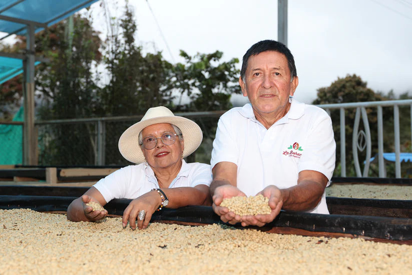 Colombia Finca La Bohemia Borbon Island - Washed