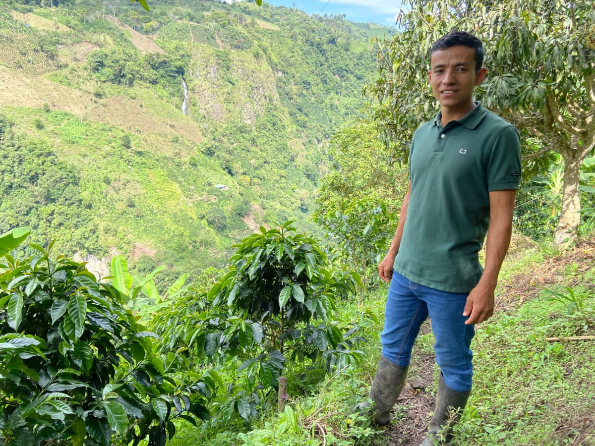 Colombia Finca El Chaferote II