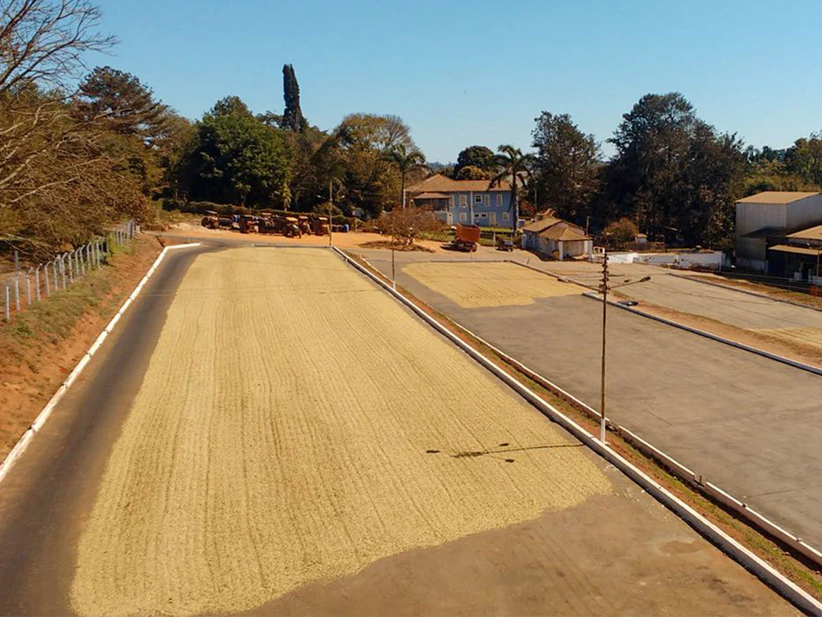 Brazil Fazenda Salto