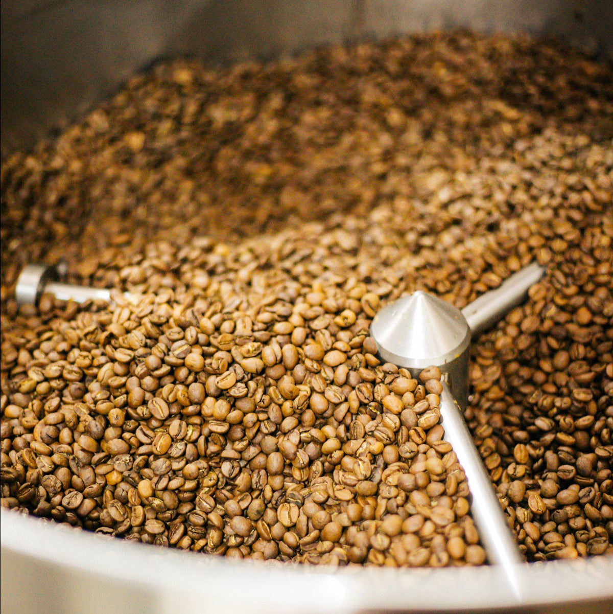 Close-up of roasted coffee beans in a metal container with a scoop.