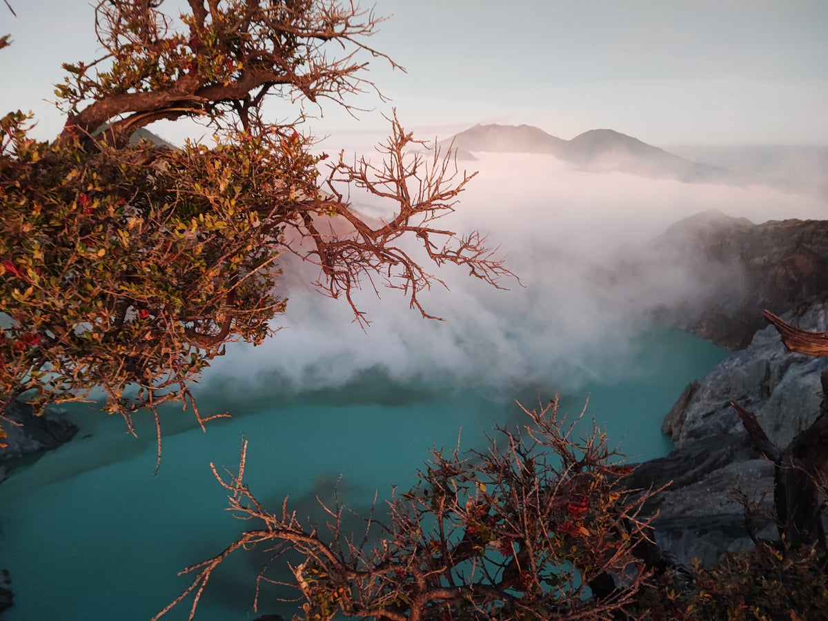 Indonesia Ijen Orange Microlot