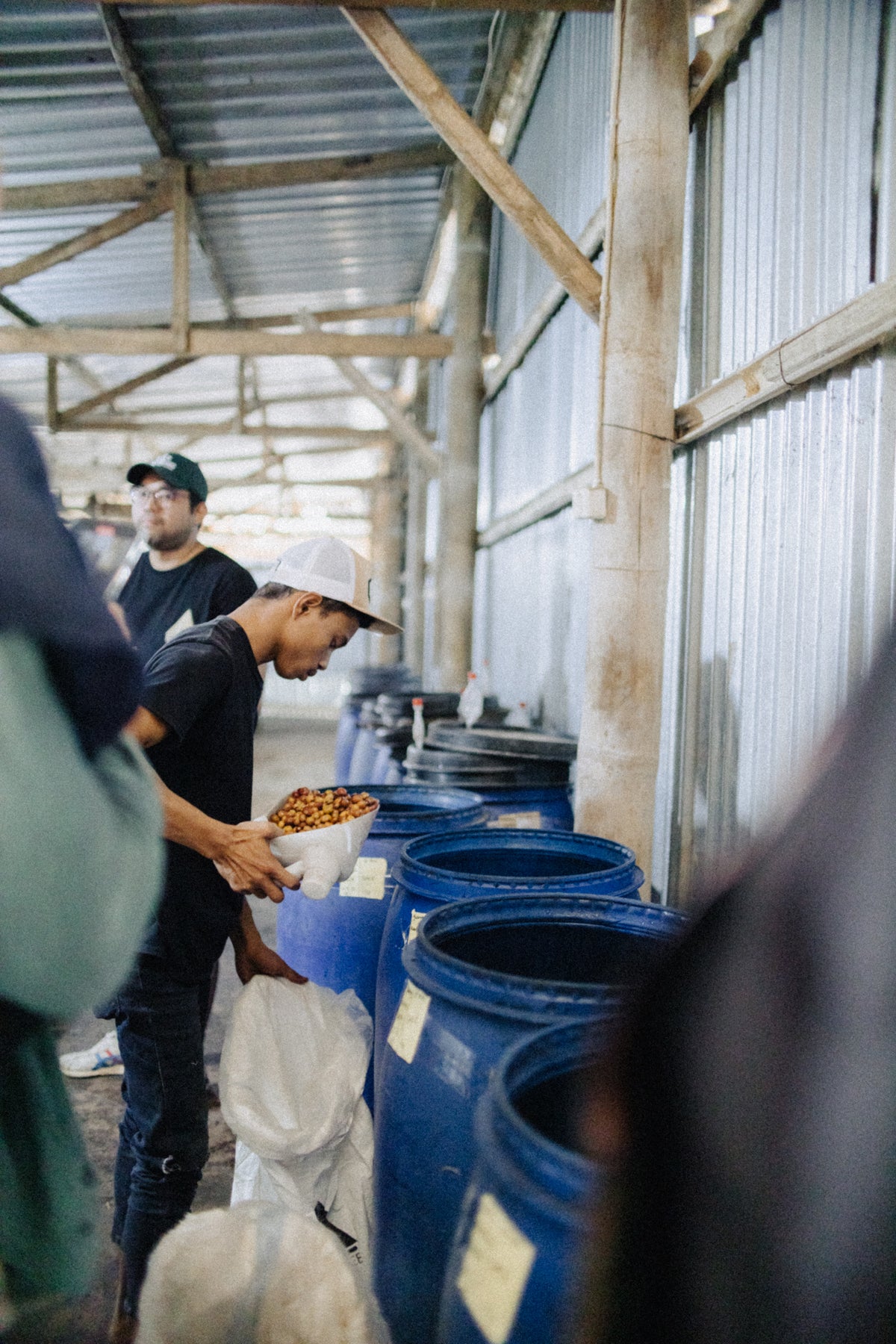 Indonesia Flores Uwu Village #1137 Microlot