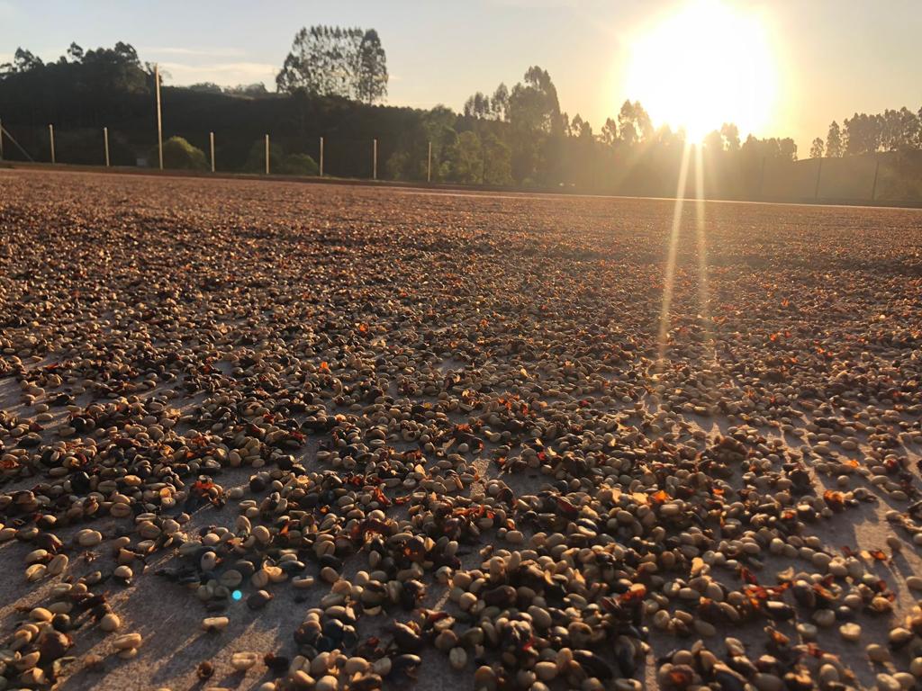 Brazil Inacio Soares F2