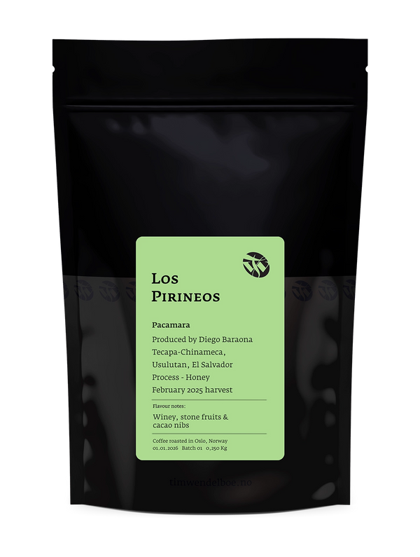 Los Pirineos Pacamara — Honey Process