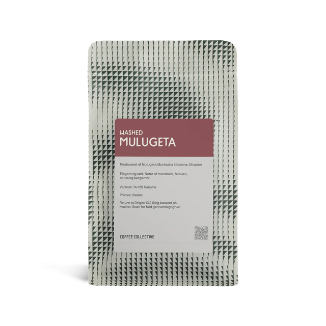 Ethiopia Mulugeta