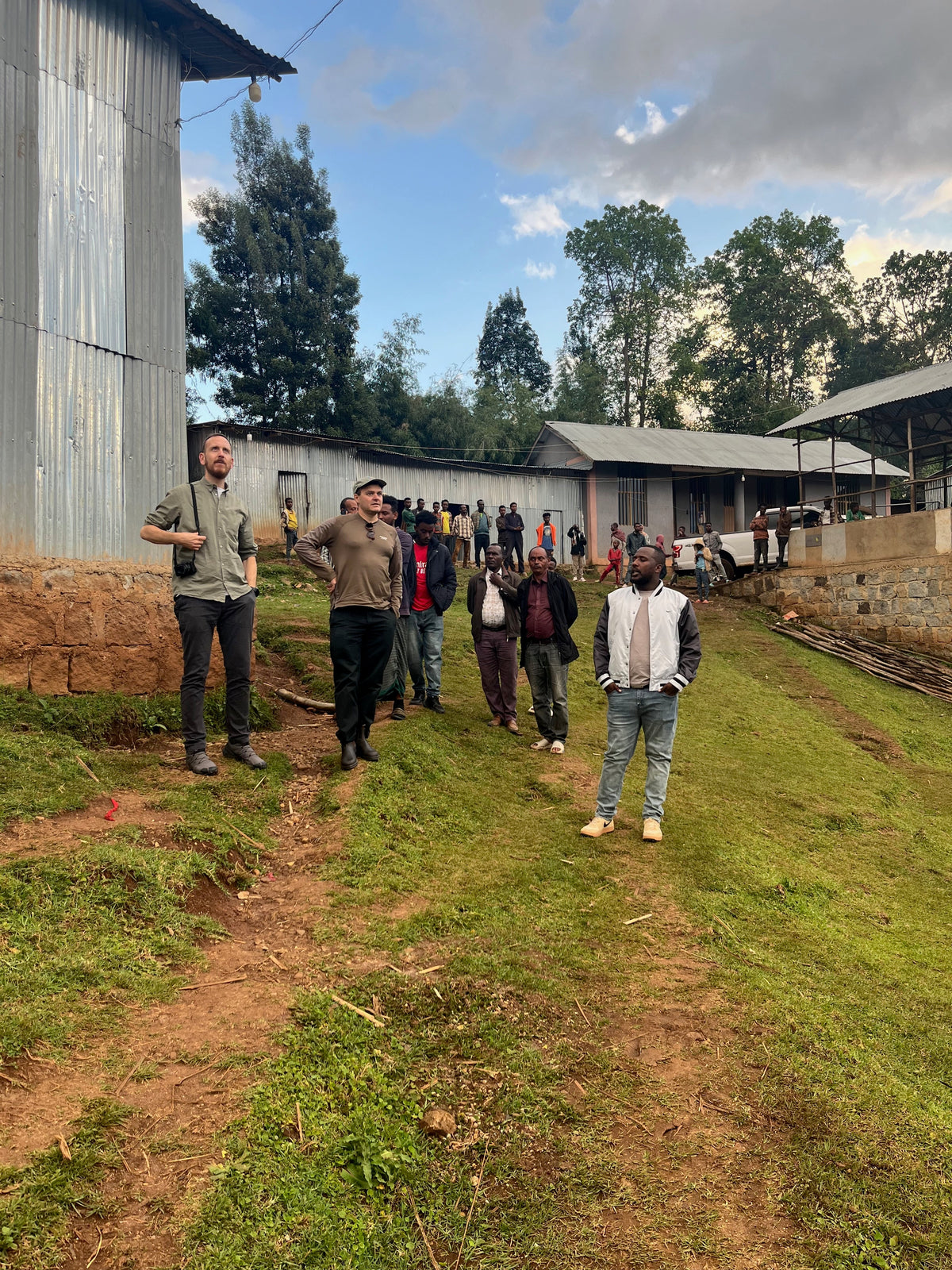 Legesse Ethiopia Legesse Natural - Bean Shipper