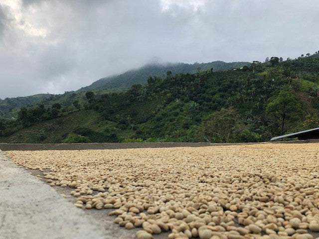 Colombia San Lorenzo