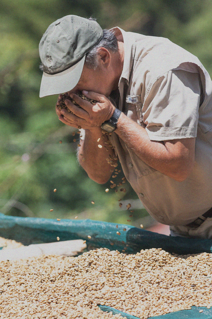 El Salvador La Divina Honey SL28