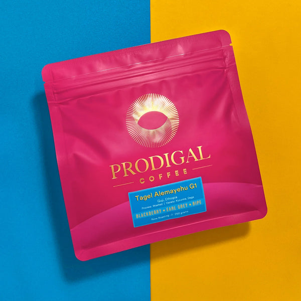 Ethiopia Tagel Alemayehu G1 - Washed