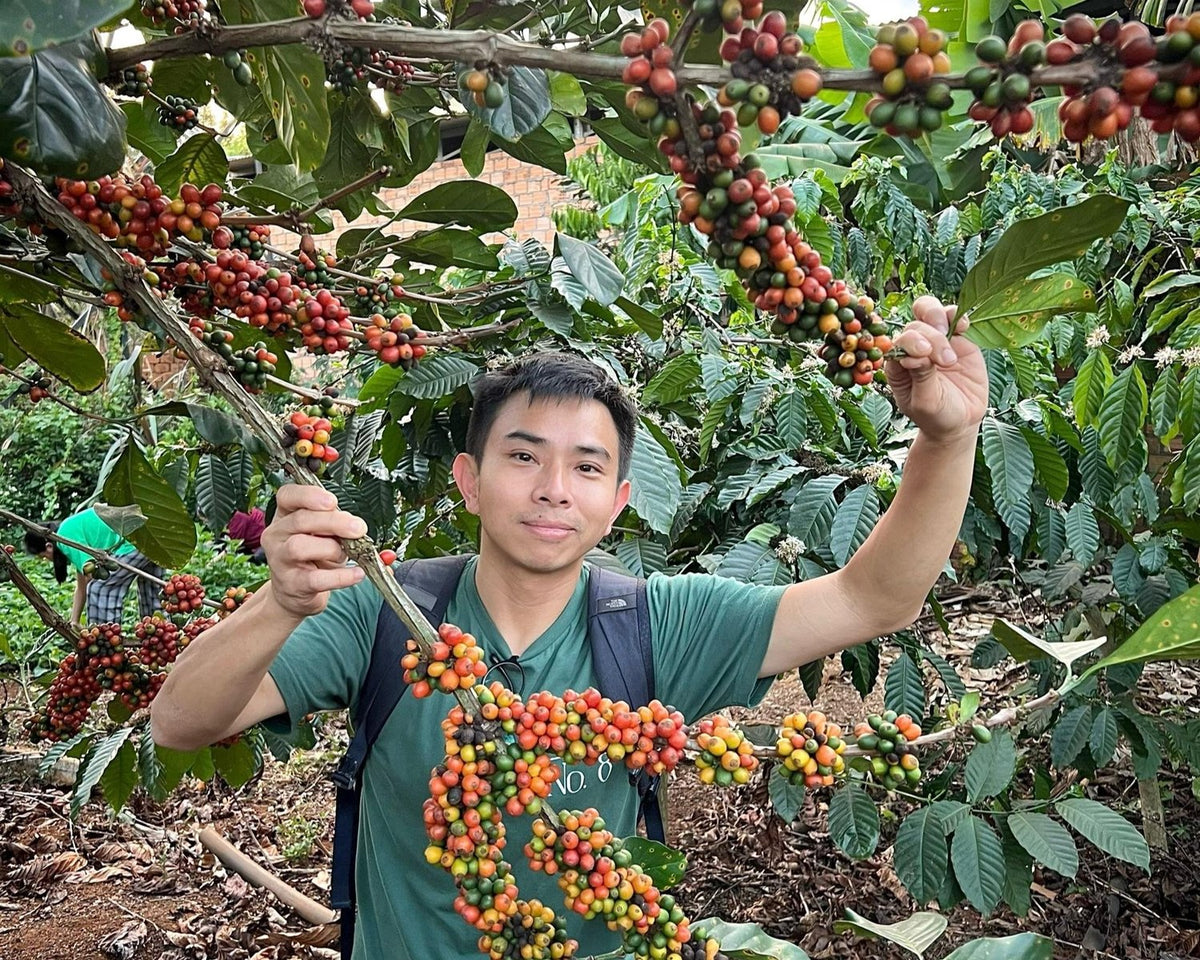 Malaysia Sarawak Long Banga - Ragi Anaerobic Honey Liberica