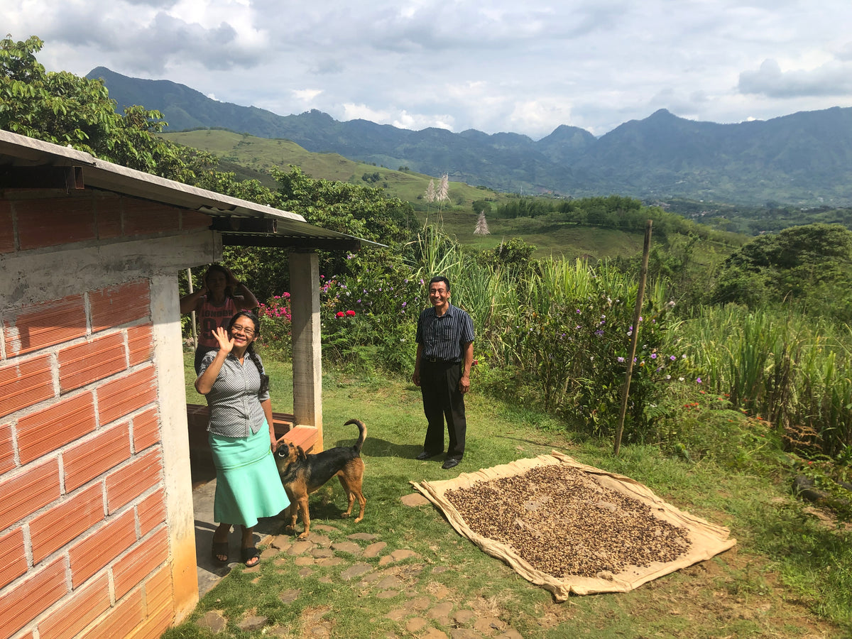 Colombia San Lorenzo