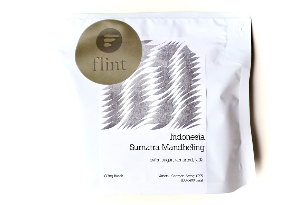 Indonesia Sumatra Mandheling G1 by Catur - Bean Shipper