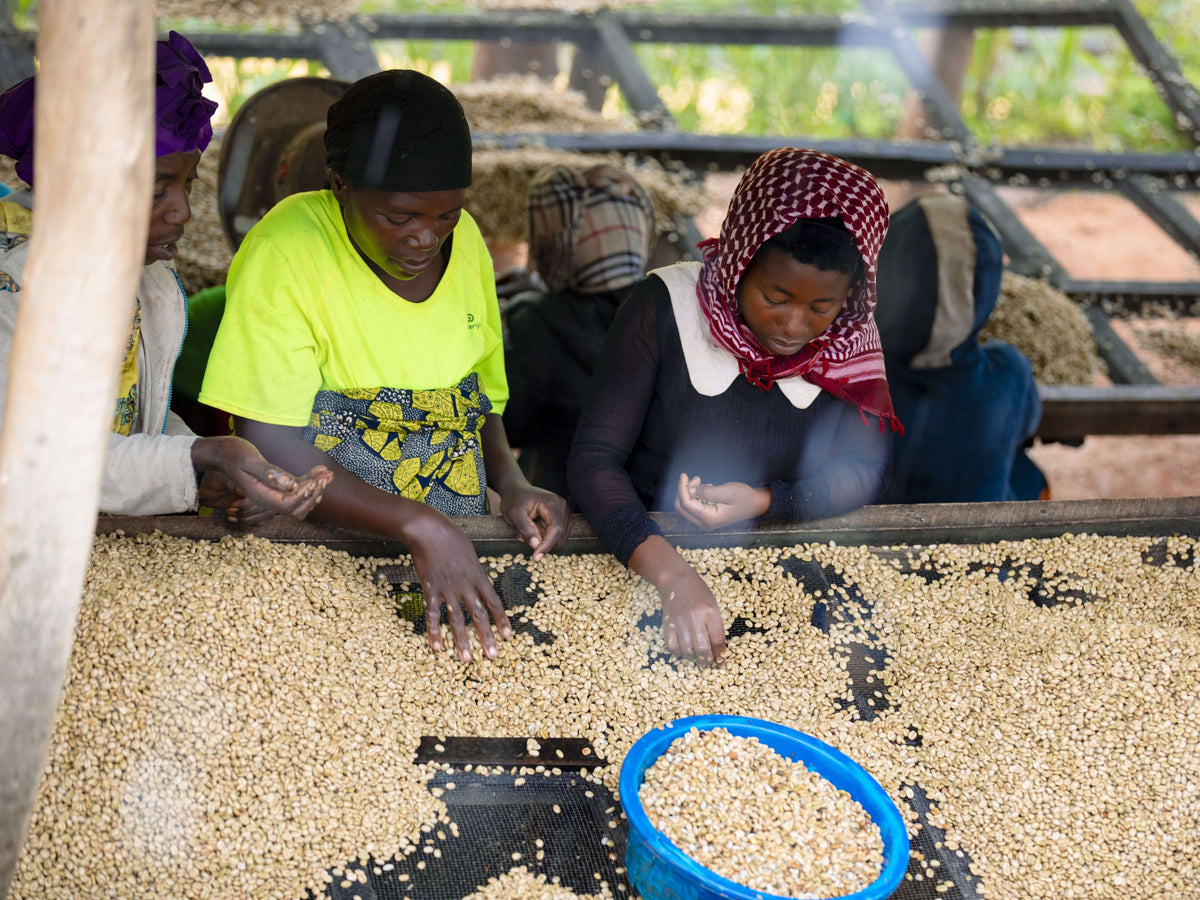 Rwanda Women's Crown - Espresso